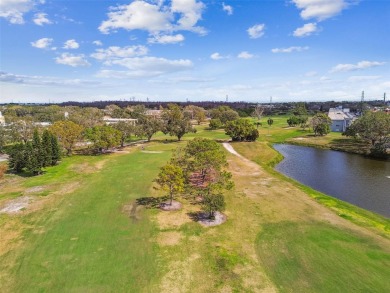 HERE TODAY, GONE TOMORROW. THIS ONE HAS IT ALL - GOLF COURSE on On Top Of The World Golf Course in Florida - for sale on GolfHomes.com, golf home, golf lot