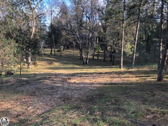 Beautiful Half Acre lot on a PARK-LIKE-SETTING and Surrounded by on Pine Mountain Lake Country Club in California - for sale on GolfHomes.com, golf home, golf lot