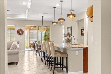 Welcome to your dream home with over $55,000 in added upgrades on On Top of the World Golf Course in Florida - for sale on GolfHomes.com, golf home, golf lot