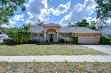 Welcome to your dream home in the heart of the serene and on Buckhorn Springs Golf and Country Club in Florida - for sale on GolfHomes.com, golf home, golf lot