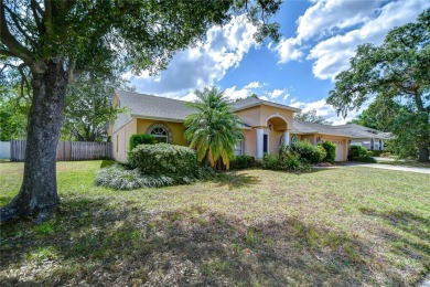 Welcome to your dream home in the heart of the serene and on Buckhorn Springs Golf and Country Club in Florida - for sale on GolfHomes.com, golf home, golf lot
