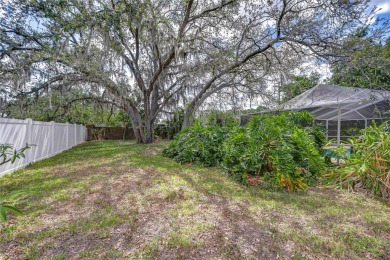 Welcome to your dream home in the heart of the serene and on Buckhorn Springs Golf and Country Club in Florida - for sale on GolfHomes.com, golf home, golf lot