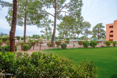 This updated, perfectly situated condo in the desirable Paradise on Stonecreek Golf Club in Arizona - for sale on GolfHomes.com, golf home, golf lot