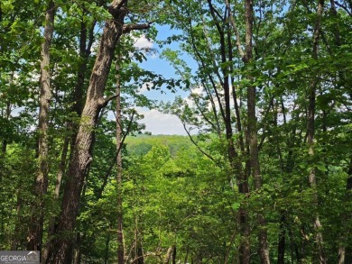 Nestled within the serene and exclusive Big Canoe community in on Big Canoe Golf Club - Cherokee in Georgia - for sale on GolfHomes.com, golf home, golf lot