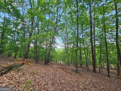 Nestled within the serene and exclusive Big Canoe community in on Big Canoe Golf Club - Cherokee in Georgia - for sale on GolfHomes.com, golf home, golf lot