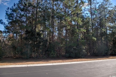 Gorgeous, Private Lot located in the Heart of Murrells Inlet in on TPC Myrtle Beach Golf Club in South Carolina - for sale on GolfHomes.com, golf home, golf lot