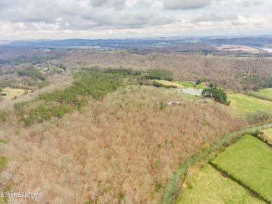 80 acres with possibilities galore! Beautiful building sites on River Islands Golf Club in Tennessee - for sale on GolfHomes.com, golf home, golf lot