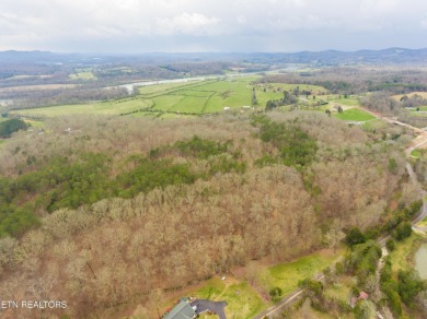 80 acres with possibilities galore! Beautiful building sites on River Islands Golf Club in Tennessee - for sale on GolfHomes.com, golf home, golf lot