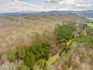 80 acres with possibilities galore! Beautiful building sites on River Islands Golf Club in Tennessee - for sale on GolfHomes.com, golf home, golf lot