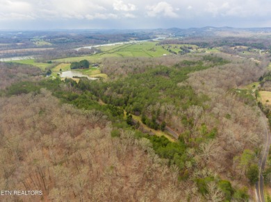 80 acres with possibilities galore! Beautiful building sites on River Islands Golf Club in Tennessee - for sale on GolfHomes.com, golf home, golf lot