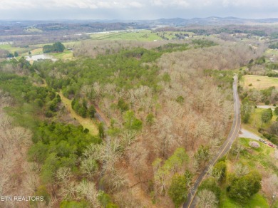 80 acres with possibilities galore! Beautiful building sites on River Islands Golf Club in Tennessee - for sale on GolfHomes.com, golf home, golf lot