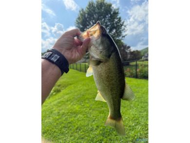 Lakefront lot in desirable Hampton Cove! 4 bedrooms 4 baths on Hampton Cove Golf Course in Alabama - for sale on GolfHomes.com, golf home, golf lot