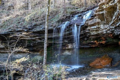 Lakefront lot in desirable Hampton Cove! 4 bedrooms 4 baths on Hampton Cove Golf Course in Alabama - for sale on GolfHomes.com, golf home, golf lot