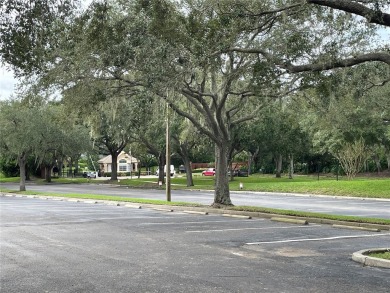 This is a once-in-a-lifetime chance to own a piece of Florida on Grasslands Golf and Country Club in Florida - for sale on GolfHomes.com, golf home, golf lot