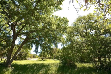 Build the custom golf course home of your dreams! Cul-de-Sac on Apple Rock Golf Course - Horseshoe Bay in Texas - for sale on GolfHomes.com, golf home, golf lot