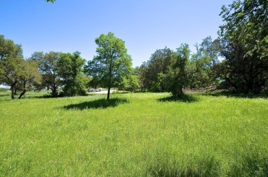 Build the custom golf course home of your dreams! Cul-de-Sac on Apple Rock Golf Course - Horseshoe Bay in Texas - for sale on GolfHomes.com, golf home, golf lot