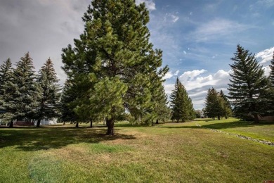 ** Just voted *#1 on Realtor Home Tour* as of 10/22/24.** The on Pagosa Springs Golf Club in Colorado - for sale on GolfHomes.com, golf home, golf lot