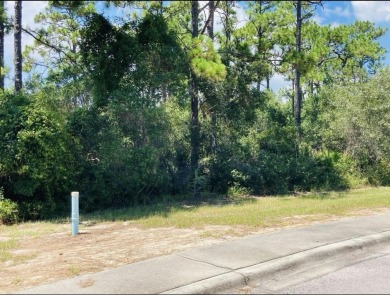 Discover the perfect opportunity to own a piece of paradise at on St. James Bay in Florida - for sale on GolfHomes.com, golf home, golf lot