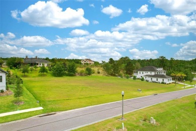 This double lot is a vacant residential lot located within the on Southern Hills Plantation Club in Florida - for sale on GolfHomes.com, golf home, golf lot