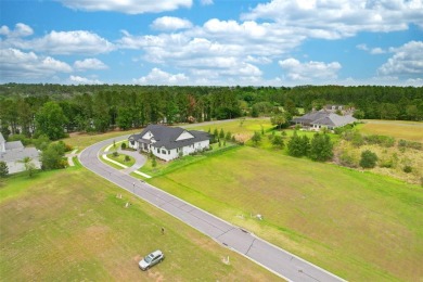 This double lot is a vacant residential lot located within the on Southern Hills Plantation Club in Florida - for sale on GolfHomes.com, golf home, golf lot