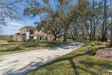 Welcome to timeless Mediterranean sophistication at this on The Links of Lake Bernadette in Florida - for sale on GolfHomes.com, golf home, golf lot
