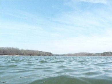 Welcome to Chickasaw Point!! That lakefront home you've been on The Trail At Chickasaw Pointe in South Carolina - for sale on GolfHomes.com, golf home, golf lot