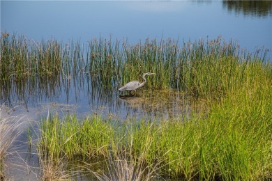 READY TO MOVE IN - 1st floor LAKEFRONT CONDO: 2 BD/2 BA on Oak Harbor Country Club in Florida - for sale on GolfHomes.com, golf home, golf lot