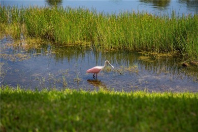 READY TO MOVE IN - 1st floor LAKEFRONT CONDO: 2 BD/2 BA on Oak Harbor Country Club in Florida - for sale on GolfHomes.com, golf home, golf lot