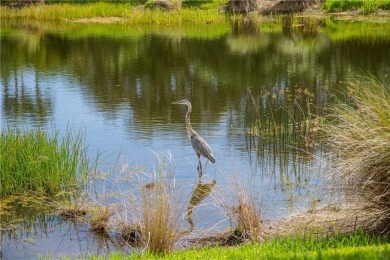READY TO MOVE IN - 1st floor LAKEFRONT CONDO: 2 BD/2 BA on Oak Harbor Country Club in Florida - for sale on GolfHomes.com, golf home, golf lot