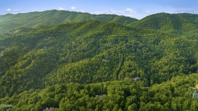 Architect Designed Custom Mountain Masterpiece in Gatlinburg! on Bent Creek Golf Course in Tennessee - for sale on GolfHomes.com, golf home, golf lot
