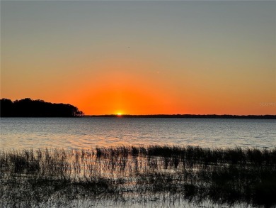 WATERFRONT HOME ON LAKE HARRIS!!!!!   Bring your boat, savor on Bay Tree Golf Course in Florida - for sale on GolfHomes.com, golf home, golf lot