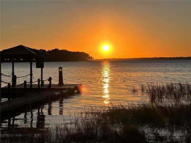 WATERFRONT HOME ON LAKE HARRIS!!!!!   Bring your boat, savor on Bay Tree Golf Course in Florida - for sale on GolfHomes.com, golf home, golf lot