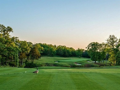 OWNER-FINANCING AVAILABLE!!  Create your ideal full-time on Rock Creek Golf Club in Texas - for sale on GolfHomes.com, golf home, golf lot