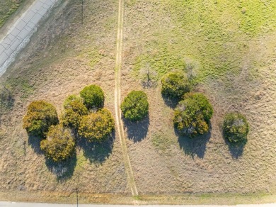 Build your dream home or weekend getway atop this WATER VIEW lot on White Bluff Resort - Old Course in Texas - for sale on GolfHomes.com, golf home, golf lot