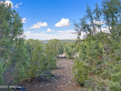 Gorgeous, lot with a passed perc test the is level at the road on Silver Creek Golf Club in Arizona - for sale on GolfHomes.com, golf home, golf lot