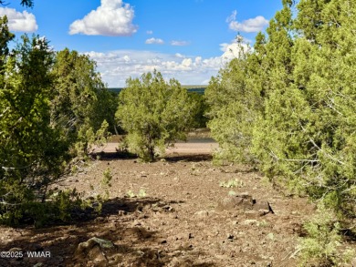 Gorgeous, lot with a passed perc test the is level at the road on Silver Creek Golf Club in Arizona - for sale on GolfHomes.com, golf home, golf lot