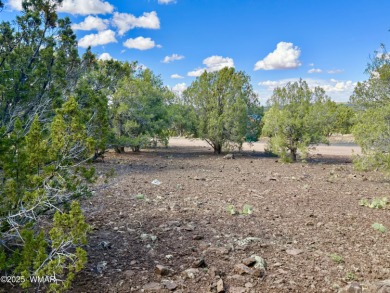 Gorgeous, lot with a passed perc test the is level at the road on Silver Creek Golf Club in Arizona - for sale on GolfHomes.com, golf home, golf lot