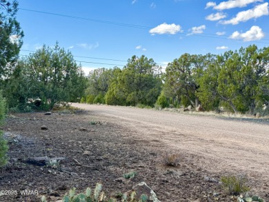 Gorgeous, lot with a passed perc test the is level at the road on Silver Creek Golf Club in Arizona - for sale on GolfHomes.com, golf home, golf lot