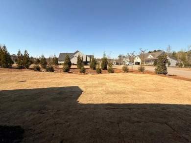 Phase II of The Enclave at Heron Ridge now selling!  Move in on Harbor Club Golf and Country Club in Georgia - for sale on GolfHomes.com, golf home, golf lot