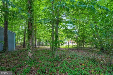 Hurry in to see this stately looking 4 BR/3BA solid brick home on Pinecrest Golf Course in Virginia - for sale on GolfHomes.com, golf home, golf lot