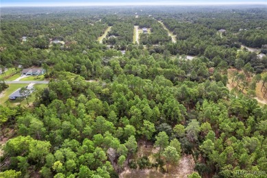 Nestled in the charming community of Citrus Springs, this on Pine Ridge Community Golf and Country Club in Florida - for sale on GolfHomes.com, golf home, golf lot