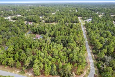 Nestled in the charming community of Citrus Springs, this on Pine Ridge Community Golf and Country Club in Florida - for sale on GolfHomes.com, golf home, golf lot