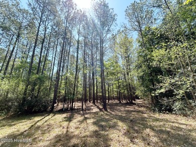 If you're searching for the elusive combination of a private lot on Minnesott Golf and Country Club in North Carolina - for sale on GolfHomes.com, golf home, golf lot