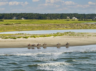 VIEWS THAT WILL TOTALLY CONSUME YOU!   This upper level Pelican on The Seabrook Island Club in South Carolina - for sale on GolfHomes.com, golf home, golf lot