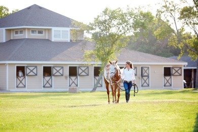 Prepare to be captivated by breathtaking,  oceanfront views of on The Seabrook Island Club in South Carolina - for sale on GolfHomes.com, golf home, golf lot