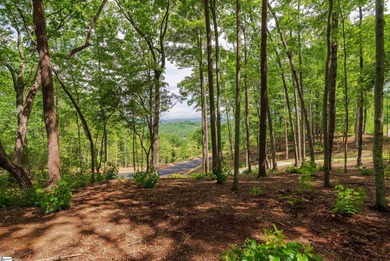 Take advantage of a limited opportunity to purchase in the new on The Cliffs at Mountain Park  in South Carolina - for sale on GolfHomes.com, golf home, golf lot
