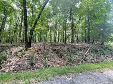 Beautiful lot, located near Lake Windsor with Tweety Bird & on Bella Vista Country Club - Berksdale in Arkansas - for sale on GolfHomes.com, golf home, golf lot