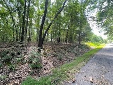 Beautiful lot, located near Lake Windsor with Tweety Bird & on Bella Vista Country Club - Berksdale in Arkansas - for sale on GolfHomes.com, golf home, golf lot