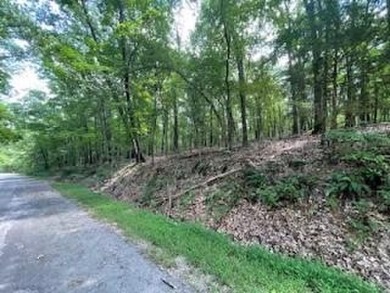 Beautiful lot, located near Lake Windsor with Tweety Bird & on Bella Vista Country Club - Berksdale in Arkansas - for sale on GolfHomes.com, golf home, golf lot