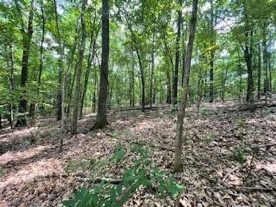 Beautiful lot, located near Lake Windsor with Tweety Bird & on Bella Vista Country Club - Berksdale in Arkansas - for sale on GolfHomes.com, golf home, golf lot